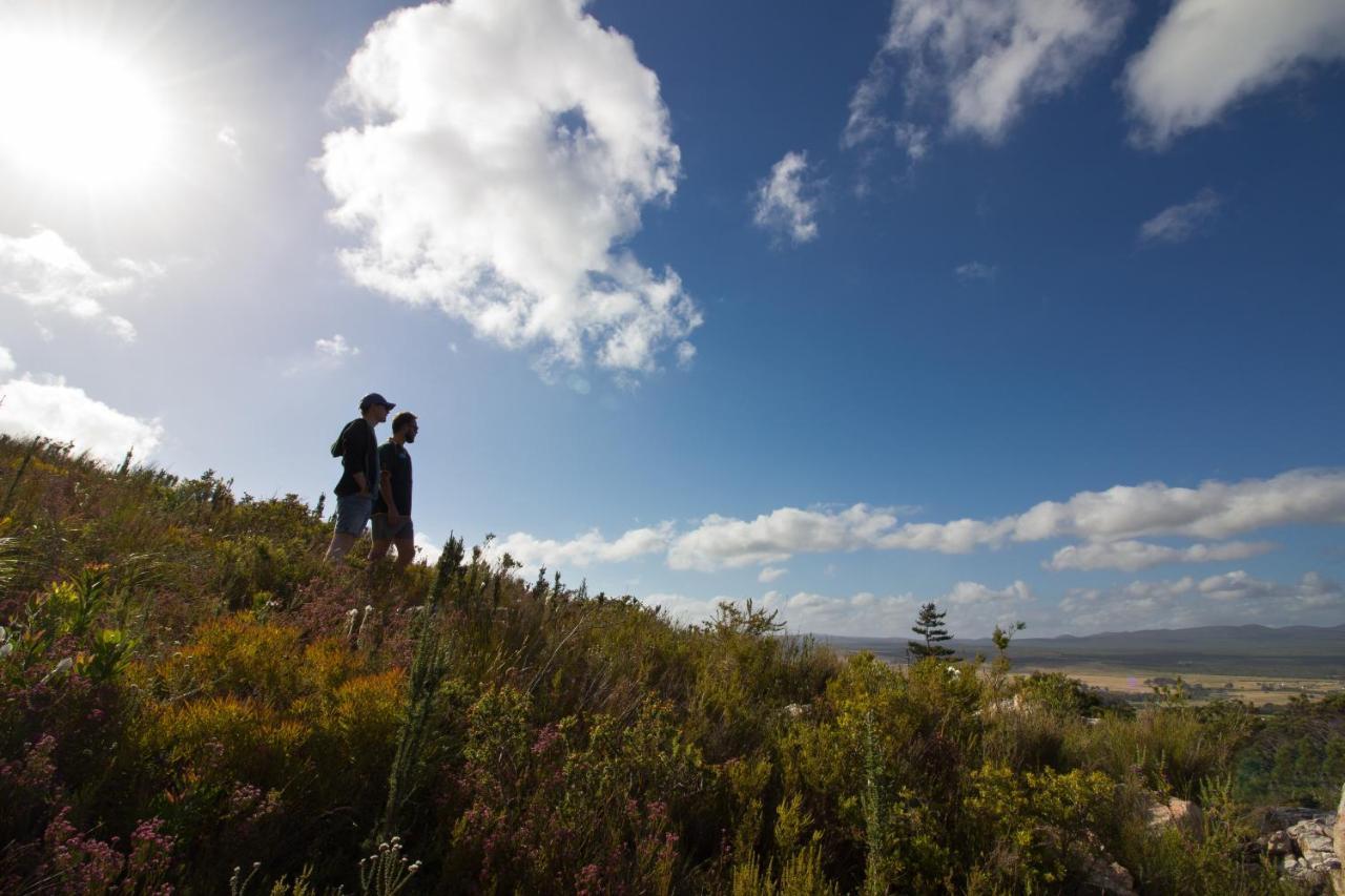 Africamps At Hills Chalet